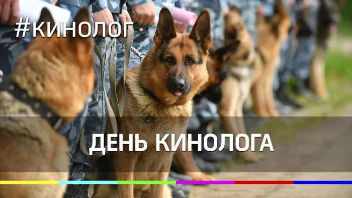 Картинки с Днем кинологических подразделений МВД России (80 открыток). Картинки с надписями с Днём кинолога