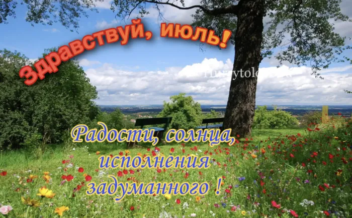 Картинки с первым днем июля (75 открыток). Картинки с надписями