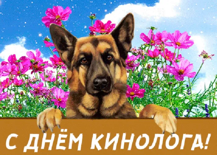 Картинки с Днем кинологических подразделений МВД России (80 открыток). Картинки с надписями с Днём кинолога