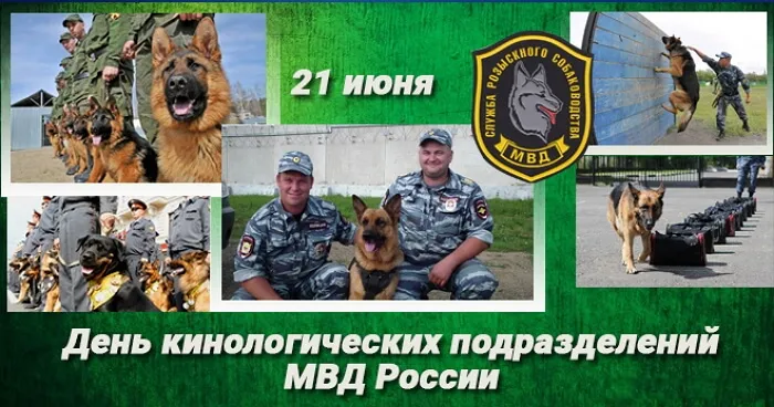Картинки с Днем кинологических подразделений МВД России (80 открыток). Картинки с надписями с Днём кинолога