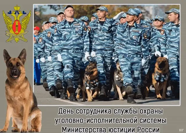Картинки с Днем сотрудника службы охраны УИС (25 открыток). Красивые картинки с надписями