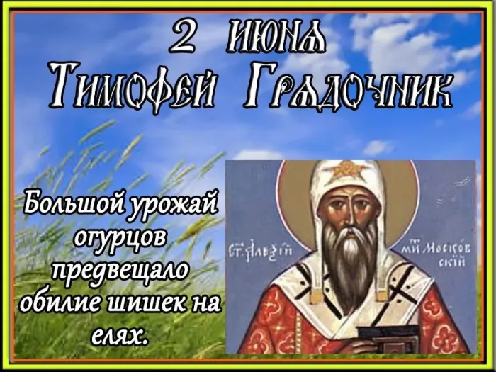 Картинки Тимофей Грядочник (18 открыток). Картинки с надписями
