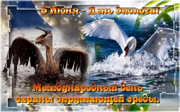 Картинки с Днем эколога (45 открыток). Картинки с надписями