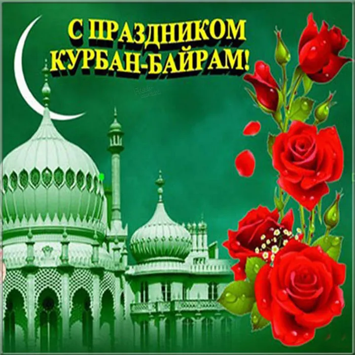 Картинки с праздником Курбан Байрам (160 открыток). Красивые картинки с надписями