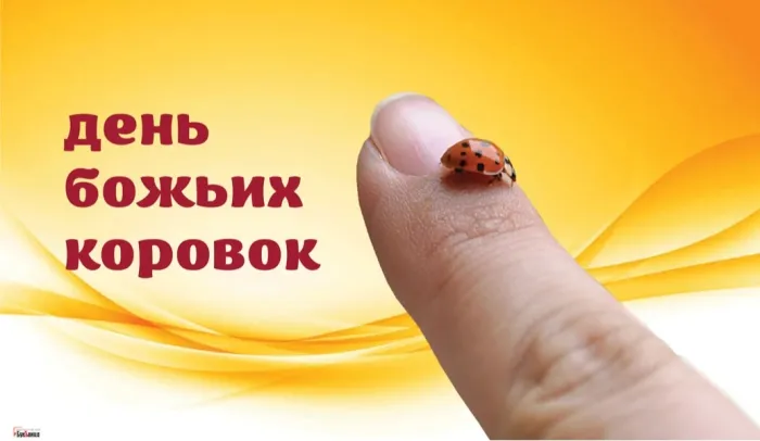 Картинки с Днем божьих коровок (13 открыток). Картинки с надписями