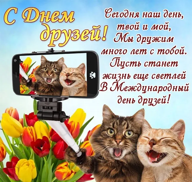 Открытки с Международным днем друзей (100+ штук). Красивые картинки с надписями