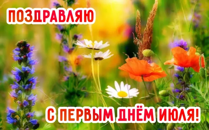 Картинки с первым днем июля (75 открыток)