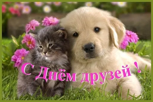 Открытки с Международным днем друзей (100+ штук). Красивые картинки с надписями
