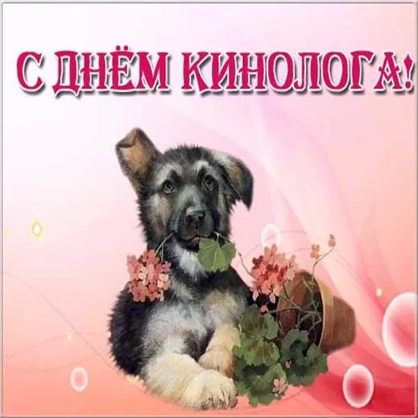 Картинки с Днем кинологических подразделений МВД России (80 открыток). Картинки с надписями с Днём кинолога