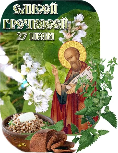 Картинки Елисей Гречкосей (16 открыток). Картинки с надписями