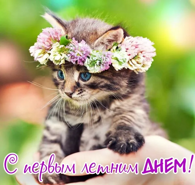 Картинки с первым днем лета (с началом лета). Красивые картинки с надписями