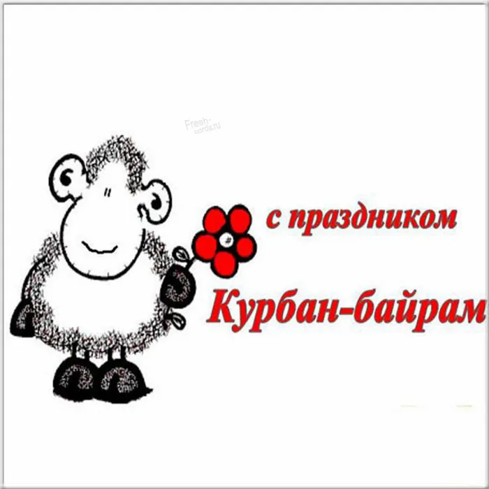 Картинки с праздником Курбан Байрам (160 открыток). Красивые картинки с надписями