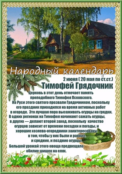Картинки Тимофей Грядочник (18 открыток). Картинки с надписями