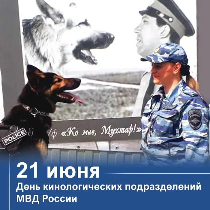 Картинки с Днем кинологических подразделений МВД России (80 открыток). Картинки с надписями с Днём кинолога