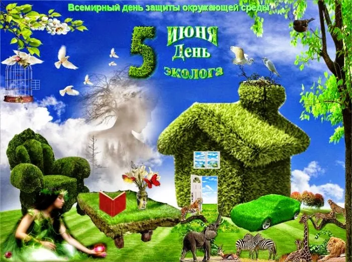 Картинки с Днем эколога (45 открыток). Картинки с надписями
