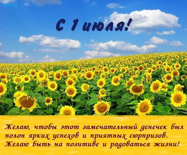 Картинки с первым днем июля (75 открыток). Картинки с надписями