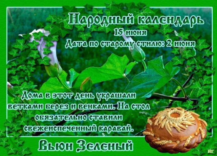 Картинки Вьюн Зеленый (11 открыток). 