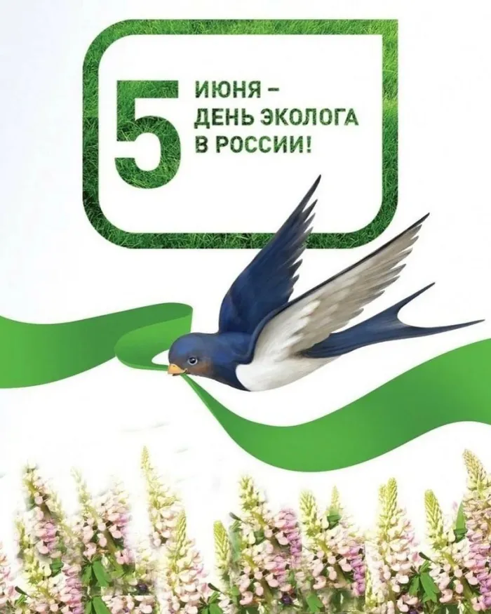 Картинки с Днем эколога (45 открыток). Красивые открытки