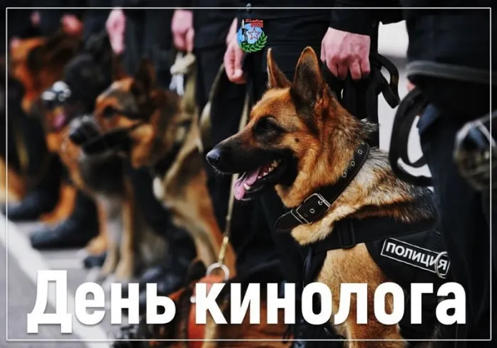 Картинки с Днем кинологических подразделений МВД России (80 открыток). Картинки с надписями с Днём кинолога