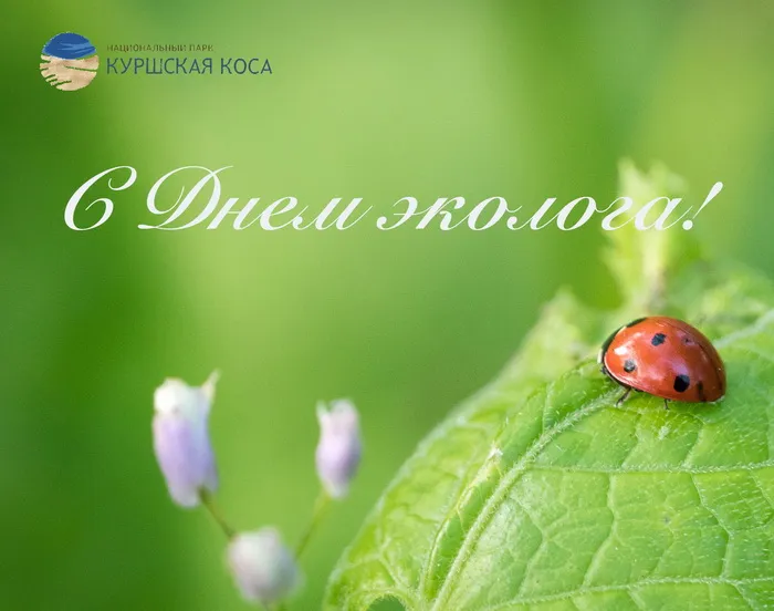 Картинки с Днем эколога (45 открыток). Картинки с надписями