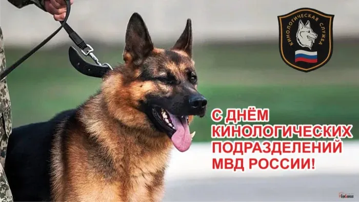 Картинки с Днем кинологических подразделений МВД России (80 открыток). Картинки с надписями с Днём кинолога