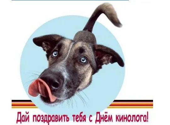 Картинки с Днем кинологических подразделений МВД России (80 открыток). Картинки с надписями с Днём кинолога
