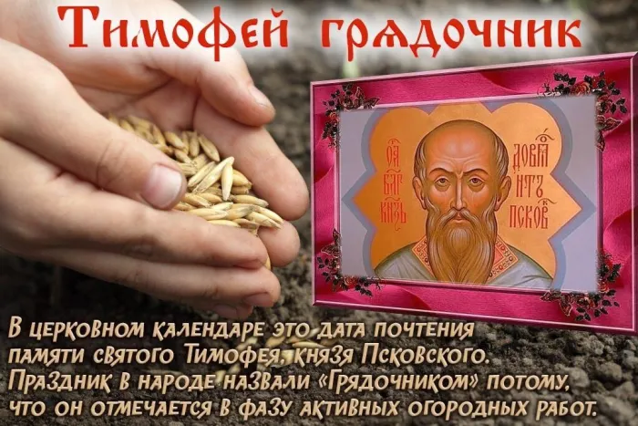 Картинки Тимофей Грядочник (18 открыток). Картинки с надписями