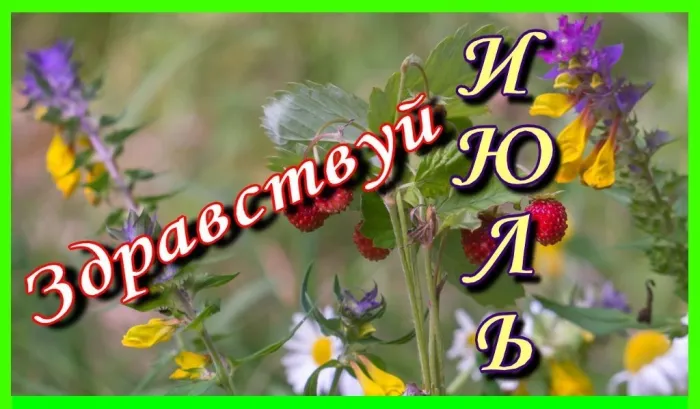 Картинки с первым днем июля (75 открыток). Картинки с надписями