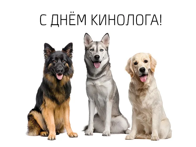 Картинки с Днем кинологических подразделений МВД России (80 открыток). Картинки с надписями с Днём кинолога