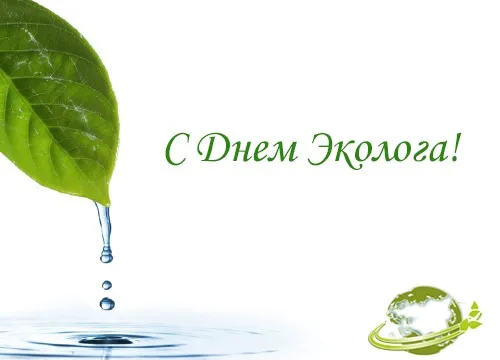 Картинки с Днем эколога (45 открыток). Красивые открытки
