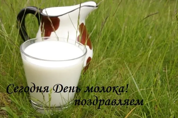 Картинки с Днем молока (40 открыток). Красивые картинки с надписями