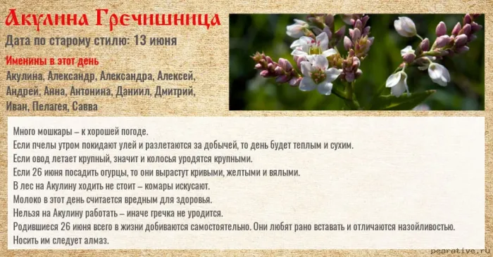 Картинки Акулина Гречишница (17 открыток). Красивые картинки с надписями