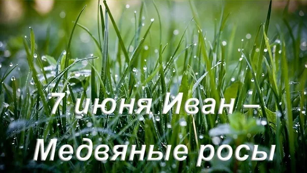 Картинки Иван – Медвяные росы (12 открыток). 