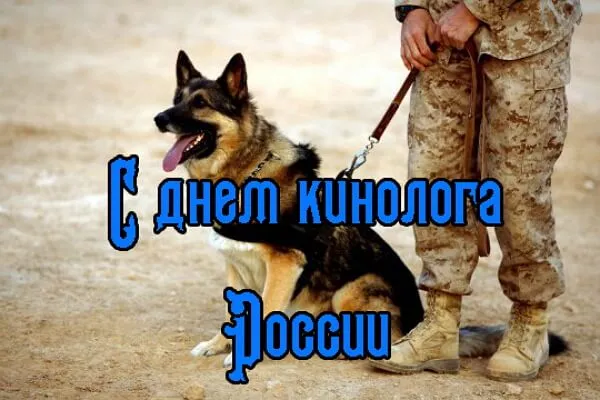Картинки с Днем кинологических подразделений МВД России (80 открыток). Картинки с надписями с Днём кинолога