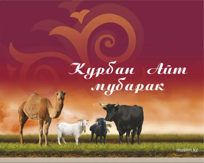 Картинки с праздником Курбан Байрам (160 открыток). Красивые картинки с надписями