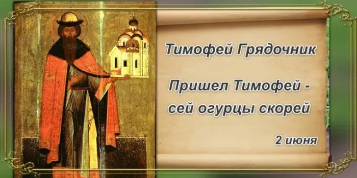 Картинки Тимофей Грядочник (18 открыток). Картинки с надписями