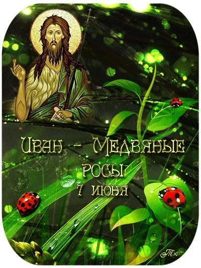 Картинки Иван – Медвяные росы (12 открыток). 