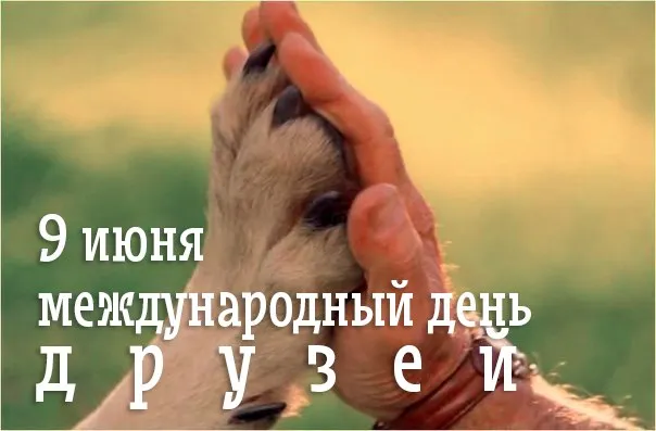 Открытки с Международным днем друзей (100+ штук). Красивые картинки с надписями