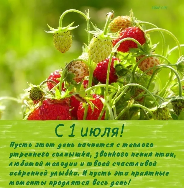 Картинки с первым днем июля (75 открыток). Картинки с надписями
