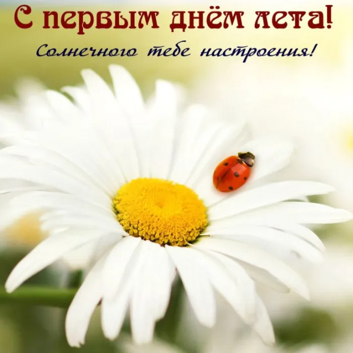 Картинки с первым днем лета (с началом лета). Красивые картинки с надписями