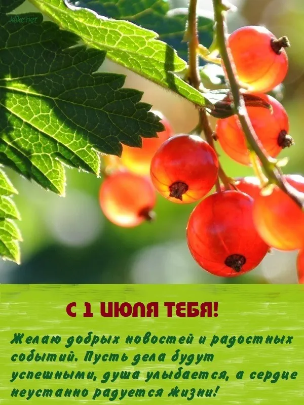 Картинки с первым днем июля (75 открыток). Картинки с надписями
