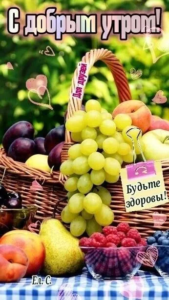 Картинки "Доброе утро августа". Доброе утро августа - картинки красивые