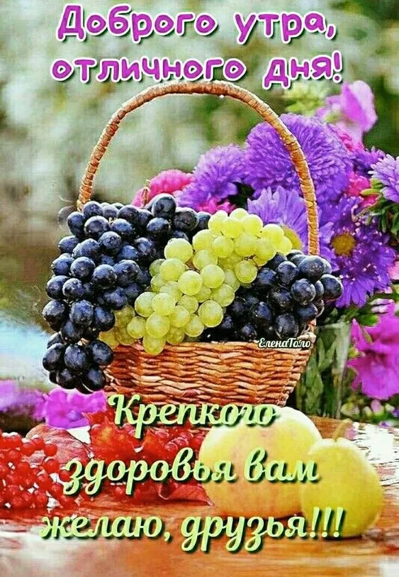 Картинки "Доброе утро августа". Доброе утро августа - картинки красивые