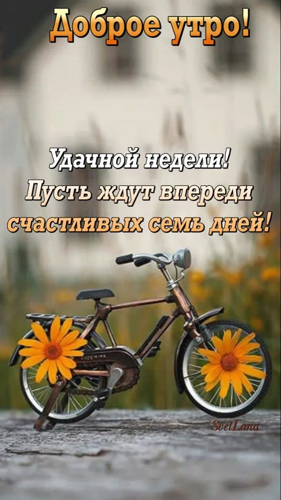 Картинки "Доброе утро понедельника". Красивые картинки Доброго утра понедельника