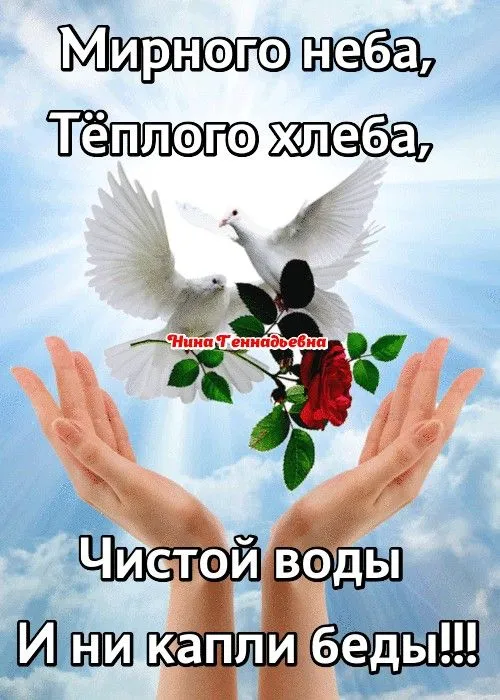 Картинки "Мира, добра и счастья". Картинки с пожеланием Мира и Добра