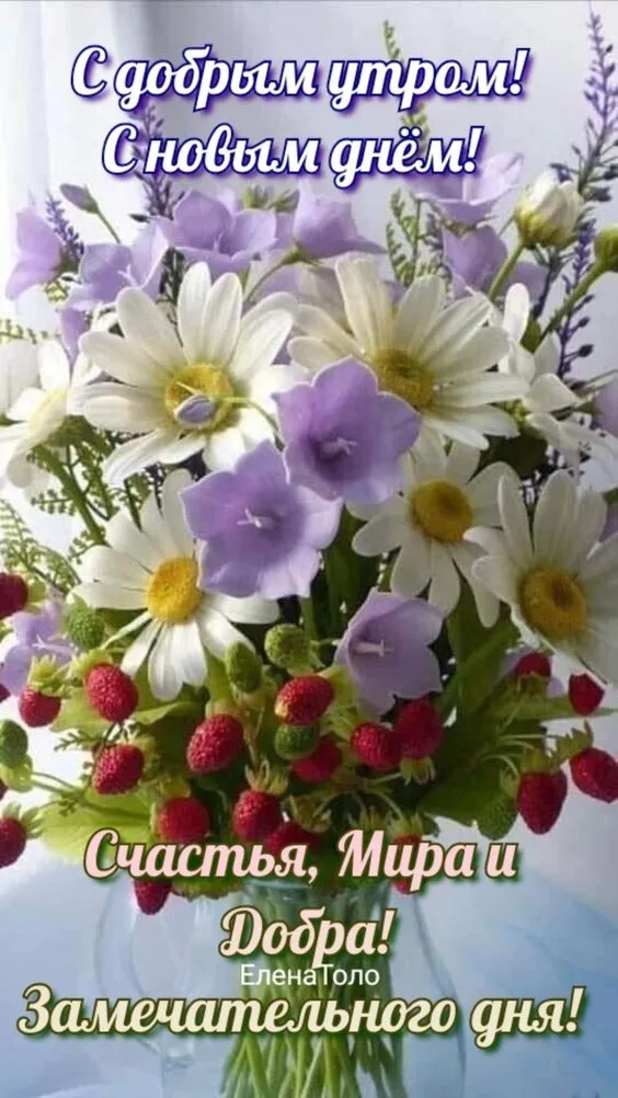 Картинки "Мира, добра и счастья". Картинки с пожеланием Мира и Добра
