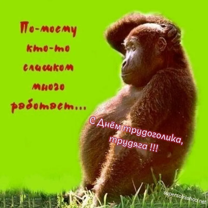 Картинки с Днем трудоголиков (30 открыток). Красивые и прикольные картинки с надписями