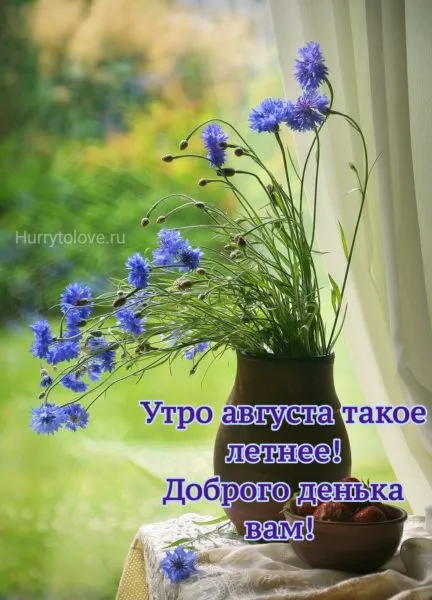 Картинки "Доброе утро августа". Красивые картинки с Добрым Утром августа