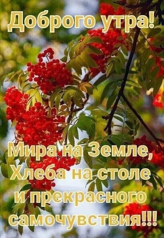 Картинки "Мира, добра и счастья". Картинки с пожеланием Мира и Добра