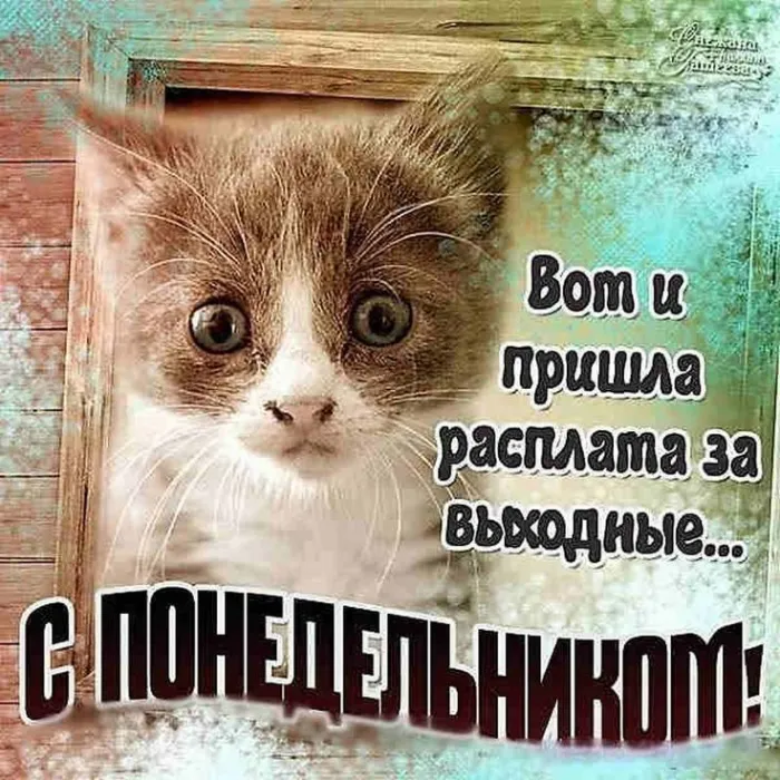 Картинки "Доброе утро понедельника". Картинки Доброго утра понедельника прикольные